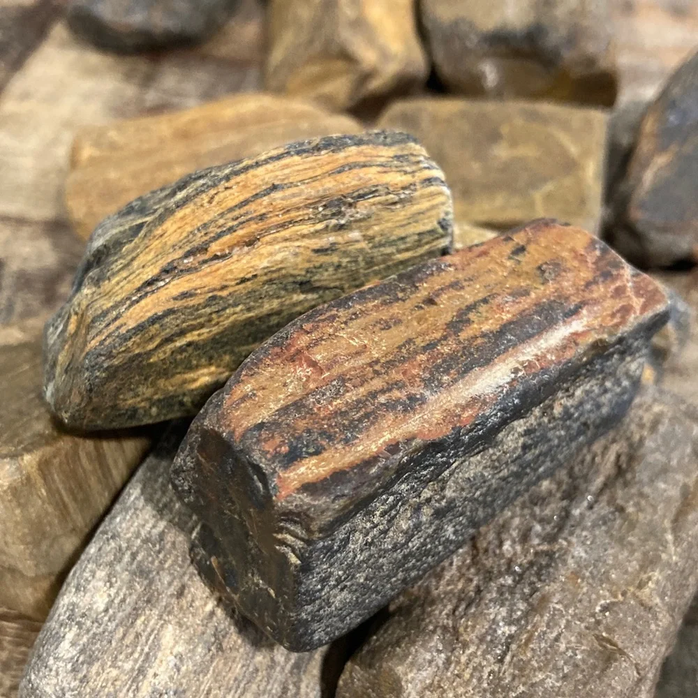 17pcs Petrified Wood 🪵 Rock Collection